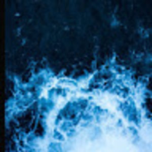 Meet your Posher, Charlese